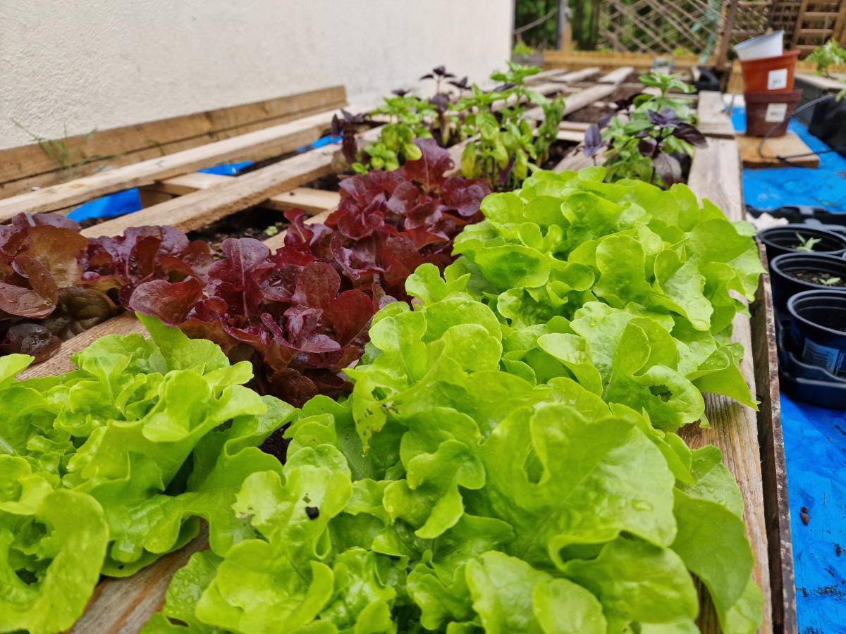 La Forestine Bergerac Zewnętrze zdjęcie