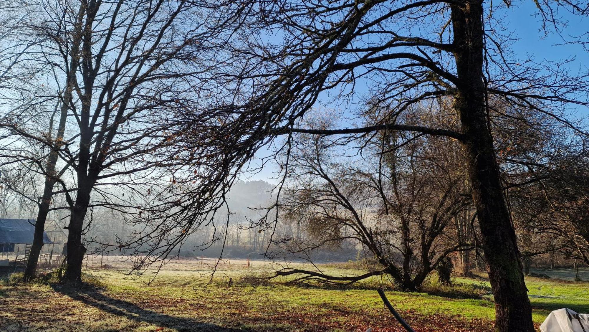 La Forestine Bergerac Zewnętrze zdjęcie